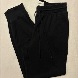 Aritzia Sunday Best Joggers